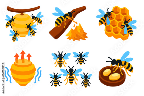 Vivid Wasp Nest Construction. Isometric vector illustration set Social wasp nest construction: colony at work, papermaking from