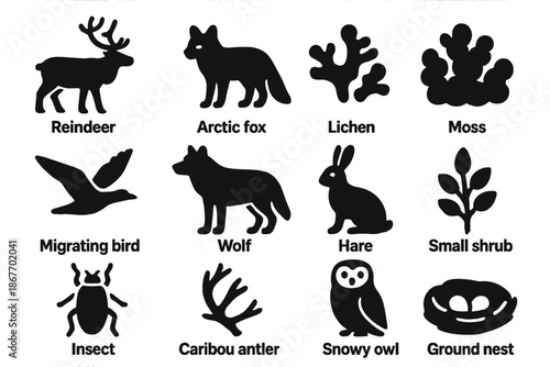 Tundra Wildlife Icons. Solid style icons of Tundra Life: Reindeer, Arctic Fox, Lichen, Moss, Migrating Bird, Wolf, Hare, Small