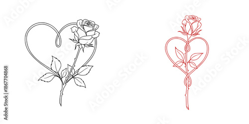 Single Rose Line Art Illustration, Elegant Floral Outline Vector