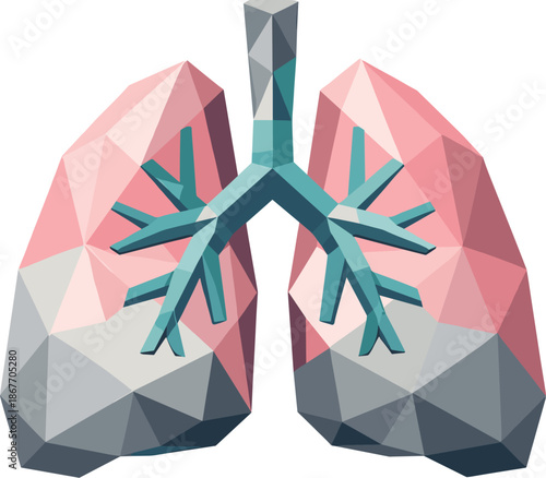 Minimalist Lungs Icon. Low-poly vector illustration focused on a minimalist lungs icon representing breathing and health,