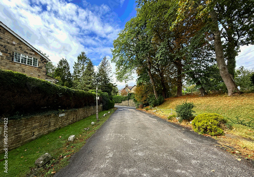 Moorfield Road unfolds between lush greenery and traditional stone buildings, the scene softened by a sky of drifting cloud. It captures a tranquil, picturesque moment in Ben Rhydding, Ilkley, UK.