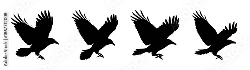 Silhouette of birds flying sequence vector illustration showing flight and movement pattern design