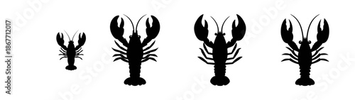 Crawfish silhouette vector illustration showing different sizes and growth stages crawdads