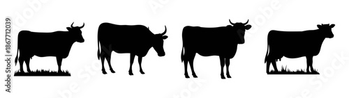 Silhouette of a herd of cows grazing in a field black and white illustration livestock farm art