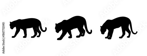 Three black panther silhouette vector illustration walking in the dark jungle animal design