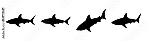 Shark silhouette vector image collection of ocean predator marine life underwater animals and sea creature