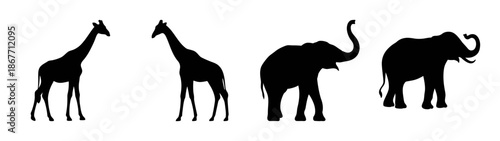 Silhouette of african wildlife giraffes and elephants vector illustration isolated design art