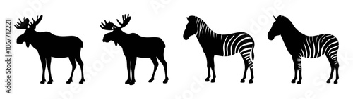 Black silhouette moose and zebra vector illustration wildlife animal art print design template idea