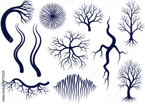 Abstract Neural Network Illustrations, Biological Structures, Digital Graphic Collection, Artistic Design, Vector View, Scientific Concept Visualization