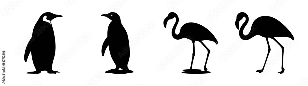 Fototapeta premium Black and white penguin and flamingo illustration, animal silhouette vector art drawing design