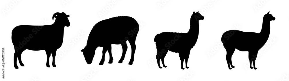 Obraz premium Silhouette of llama alpaca guanaco vicuña camelids south american animals wildlife illustration
