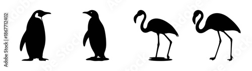 Black and white penguin and flamingo illustration, animal silhouette vector art drawing design
