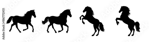 Horse silhouette vector art: rearing, standing, walking horse images for design and illustration