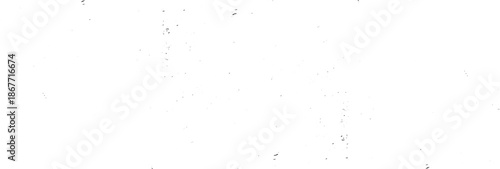 Abstract vector noise. Small particles of debris and dust. Distressed uneven background. Grunge with fine grains isolated on white background. Vector illustration. EPS10.