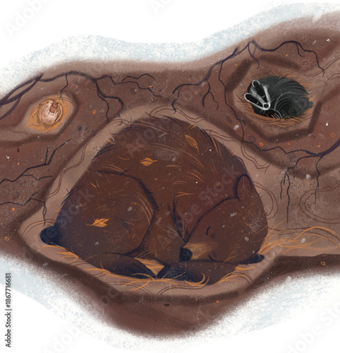 Tableau sur toile Forest animals hibernation winter underground illustration
