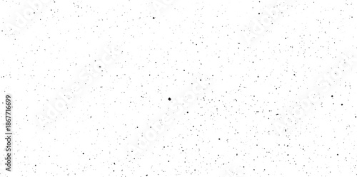 Abstract vector noise. Small particles of debris and dust. Distressed uneven background. Grunge with fine grains isolated on white background. Vector illustration. EPS10.