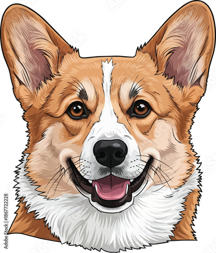 Pembroke Welsh Corgi dog smiling face closeup headshot portrait
