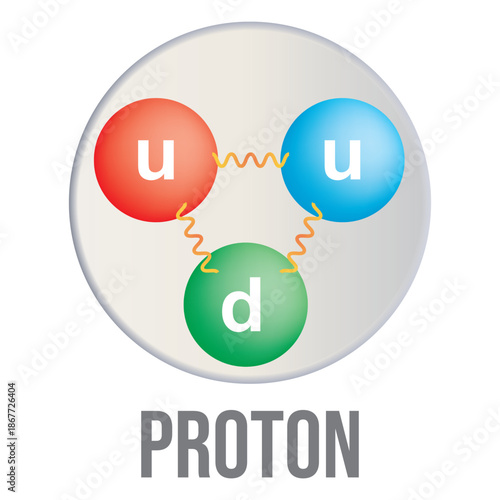 Proton. Vector illustration of the up and down quarks inside the proton.