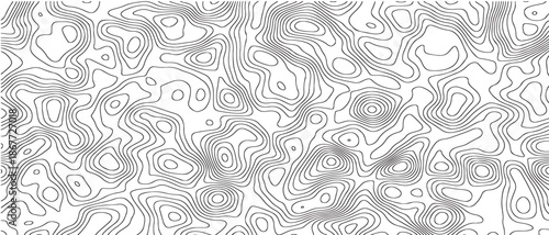 Minimal Topographic Line Map Design Featuring Elevation Contours on White Background with Paper Texture Effect