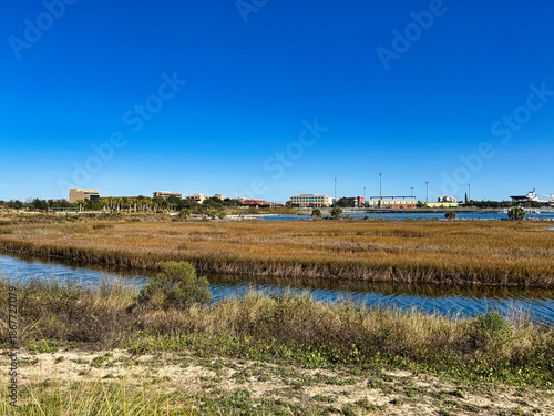 Coastal Marsh and Urban Backdrop at Bruce Beach Park