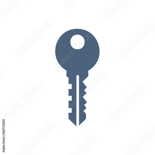 Single metal key depicting security, safety, and access in simple illustration for web and apps