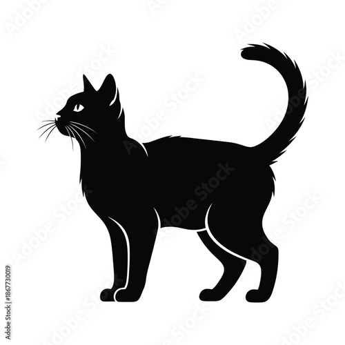 Black cat standing with tail up and looking away from camera