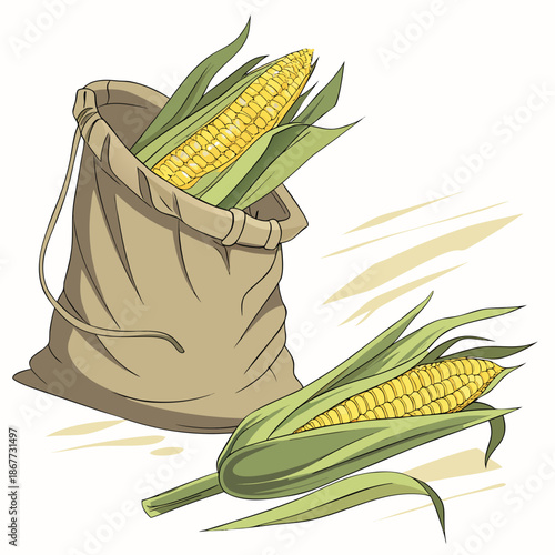 Fresh corn cobs spilling from burlap sack. Summer harvest and agricultural bounty illustration.