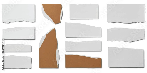 Collection of different torn paper pieces and cardboard fragments isolated on white background