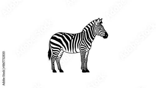 A detailed illustration of a standing zebra with bold black and white stripes.