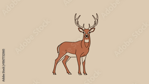Majestic Stag with Antlers Standing Proudly.