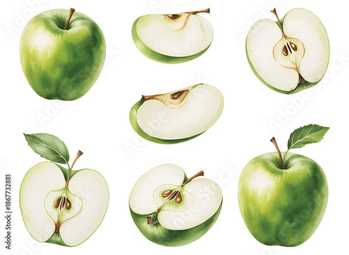 Botanical green apple fruit set with traditional hand watercolor. Natural green apple set with whole and sliced fruit.
 
