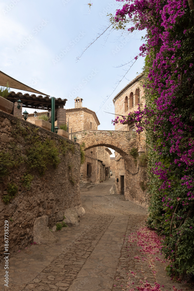 Fototapeta premium Ancient medieval street with stone arch and bougainvillea in pals, spain