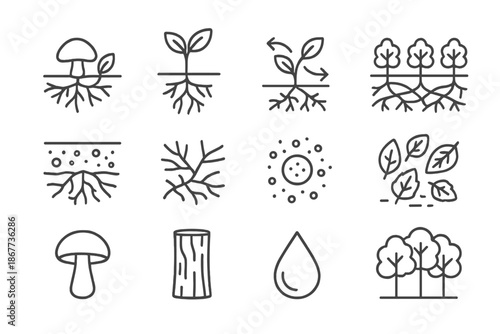 Ecological Symbiosis Icons. Line style icons of Ecological Symbiosis: Mycorrhiza, Plant Root, Nutrient Exchange, Wood Wide Web;