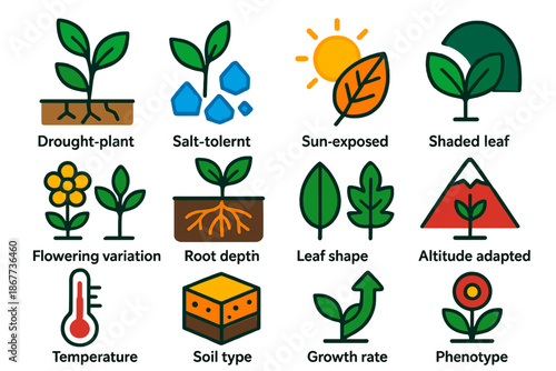 Plant Adaptation Icons. Flat vector icons of local adaptation in plants: drought-resistant plant, salt-tolerant plant, sun-exposed