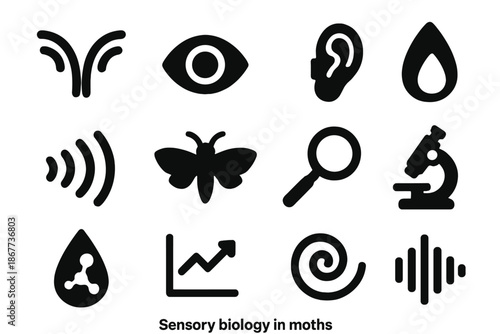 Moth Sensory Biology Icons. Solid style icons of sensory biology in moths: antenna, eye, ear, wing scale, vibration line, moth