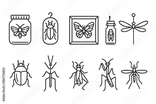 Insect Preservation Icons. Line style icons of preserved insects: moth in jar, beetle case, butterfly frame, cicada in vial;