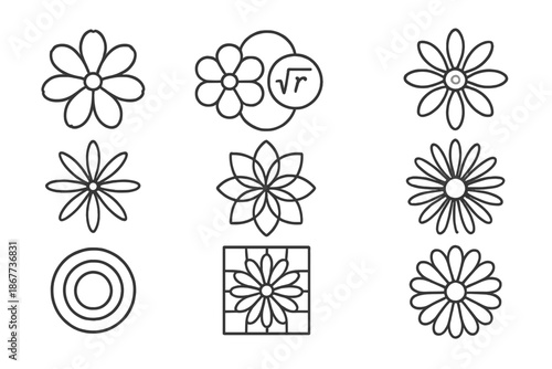 Geometric Floral Icons. Line style icons of flower head mathematics: petal symmetry, circular formula, bloom ratio, radial count,