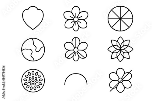 Floral Structure Icons. Line style icons of floral structure indicators: petal outline, bloom axis, radial segment, organic map,