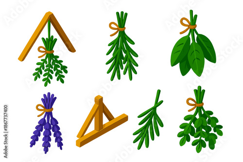 Herb Drying Rack. Isometric vector illustration set Herb Drying Rack: suspended thyme bundle, hanging rosemary, sage stems, dried