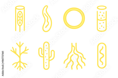 Glowing Plant Vessels. Solid style icons of noble gas vascular structures: glowing xylem column, luminous fluid stem, radiant