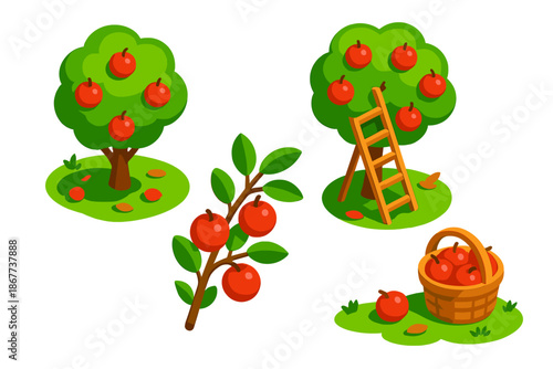 Apple Orchard Scene. Isometric vector illustration set Apple Orchard Ladder: orchard scene, ladder against fruit-laden tree,