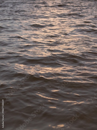 surface sea water