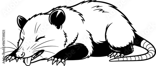 Opossum Playing Dead Black Outline Vector
