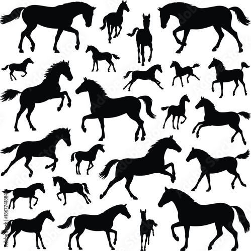 Horse silhouette collection set, running galloping poses, equine animal shapes vector illustration design black isolated
