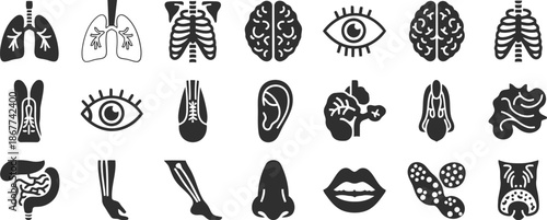 Anatomy icons set Vector