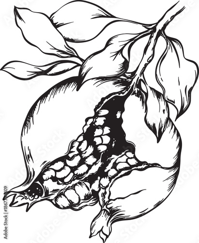 illustration of a graphic composition of pomegranates