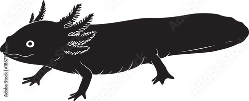 Axolotl Silhouette on White Background