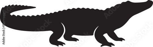 Crocodile Silhouette on White Background