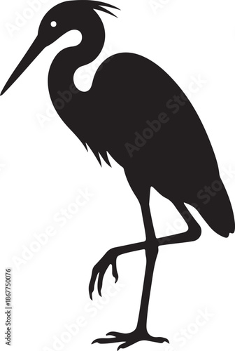 Egret Silhouette on White Background