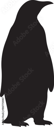 Emperor Penguin Silhouette on White Background